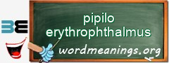 WordMeaning blackboard for pipilo erythrophthalmus